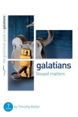 Cover: 9781908762566 | Galatians: Gospel matters | 7 studies for individuals or groups | Buch