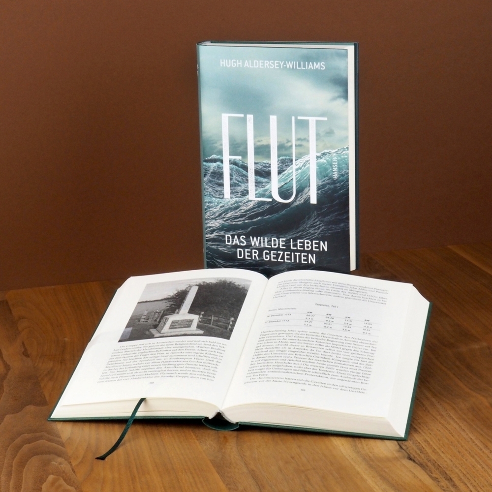 Bild: 9783446254978 | Flut | Das wilde Leben der Gezeiten | Hugh Aldersey-Williams | Buch