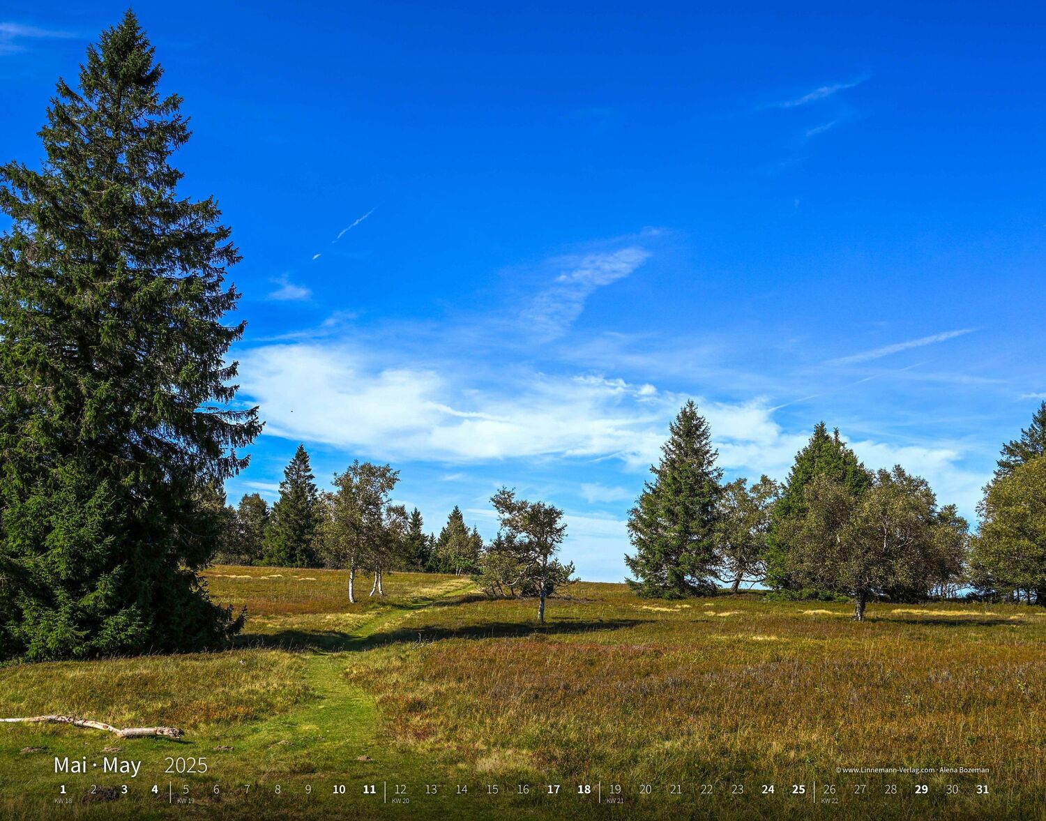 Bild: 9783862923427 | Wandern Hiking 2025 Großformat-Kalender 58 x 45,5 cm | Hiking 2025