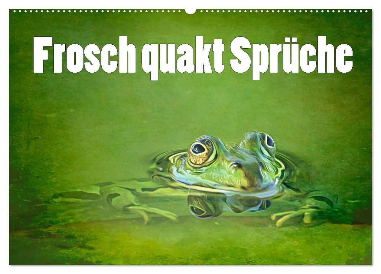 Cover: 9783383915772 | Frosch quakt Sprüche (Wandkalender 2025 DIN A2 quer), CALVENDO...