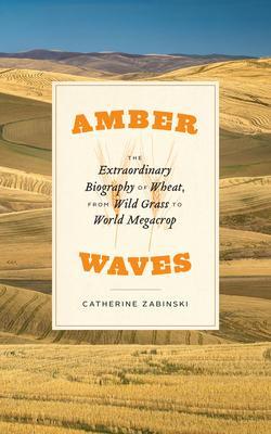 Cover: 9780226820057 | Amber Waves: The Extraordinary Biography of Wheat, from Wild Grass...