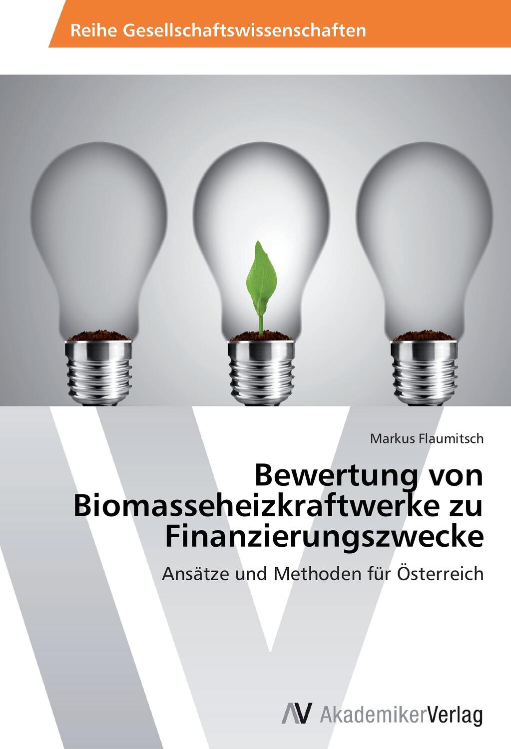 Cover: 9783639470598 | Bewertung von Biomasseheizkraftwerke zu Finanzierungszwecke | Buch