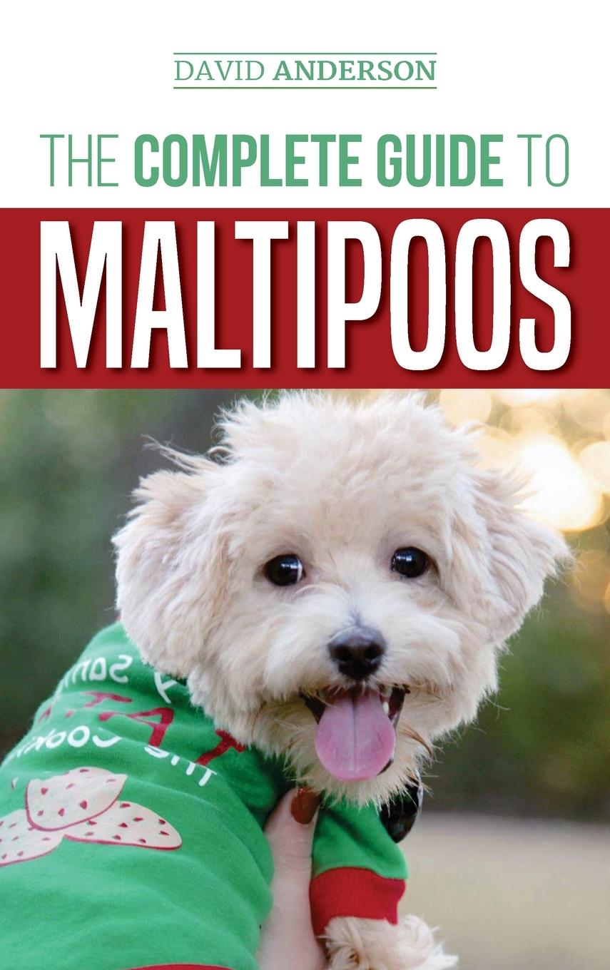 Cover: 9781952069611 | The Complete Guide to Maltipoos | David Anderson | Buch | Englisch