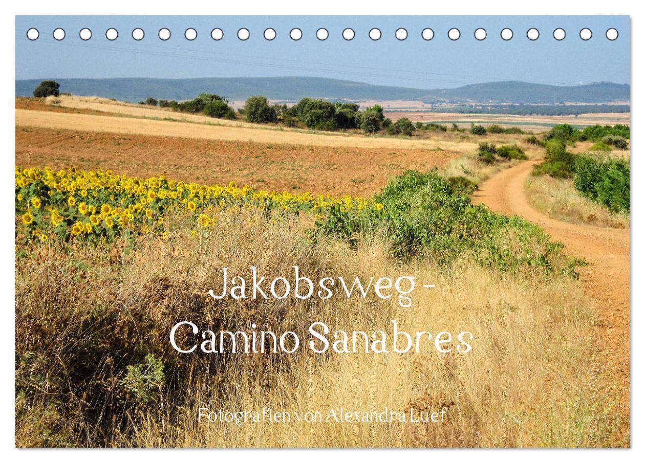 Cover: 9783383051661 | Jakobsweg - Camino Sanabres (Tischkalender 2024 DIN A5 quer),...