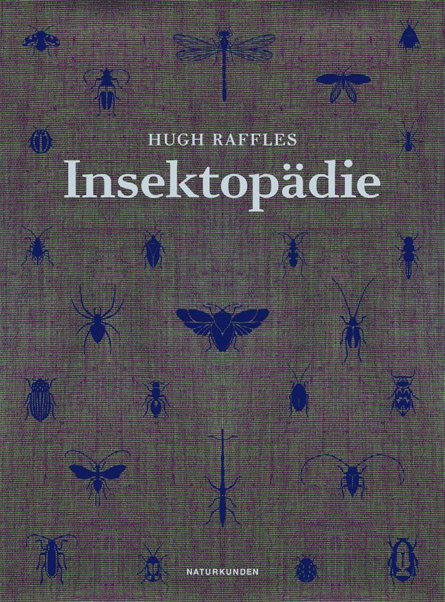 Cover: 9783882210804 | Insektopädie | Hugh Raffles | Buch | Naturkunden | Deutsch | 2013