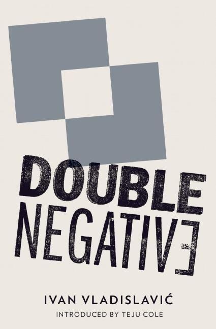 Cover: 9781908276261 | Double Negative | Ivan Vladislavic | Taschenbuch | Englisch | 2013