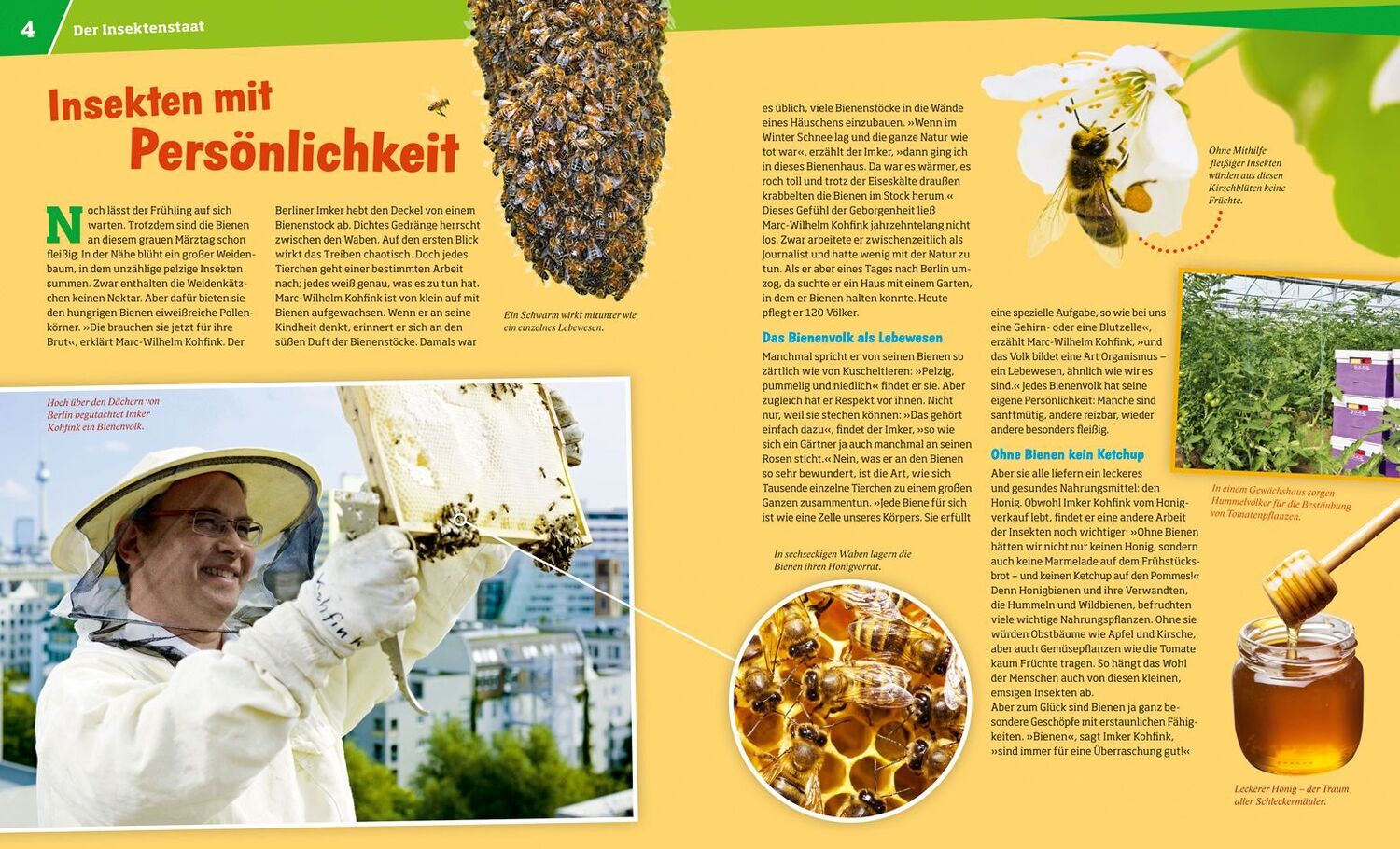 Bild: 9783788620721 | WAS IST WAS Band 19 Bienen und Wespen | Alexandra Rigos | Buch | 2024