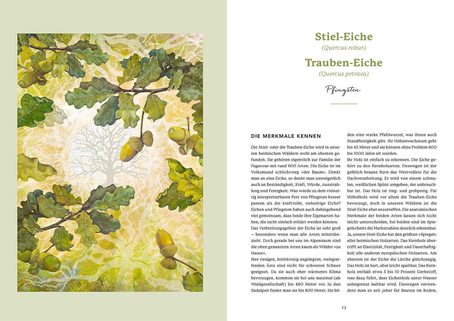 Bild: 9783968600871 | Die Weisheit der Baumwesen | Sam Hess (u. a.) | Taschenbuch | 128 S.