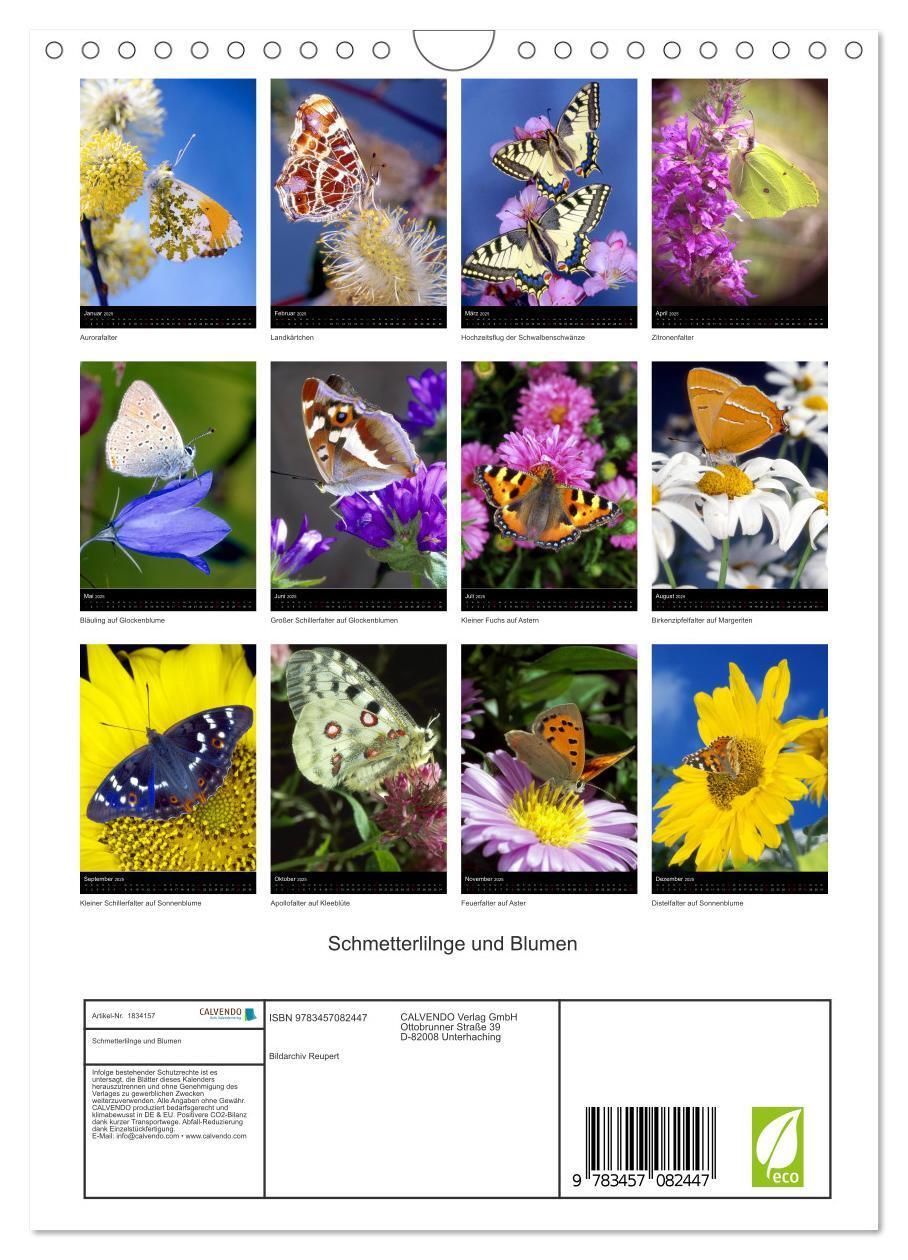 Bild: 9783457082447 | Schmetterlilnge und Blumen (Wandkalender 2025 DIN A4 hoch),...