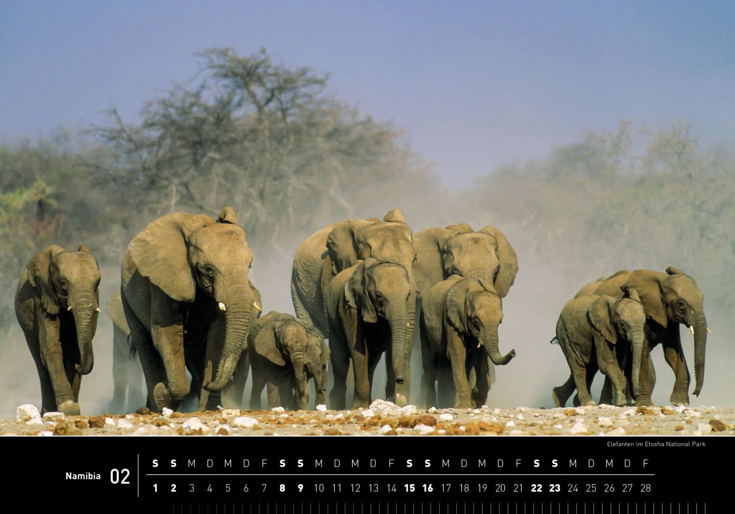 Bild: 9783968555201 | 360° Namibia Premiumkalender 2025 | Thomas Dreßler | Kalender | 13 S.