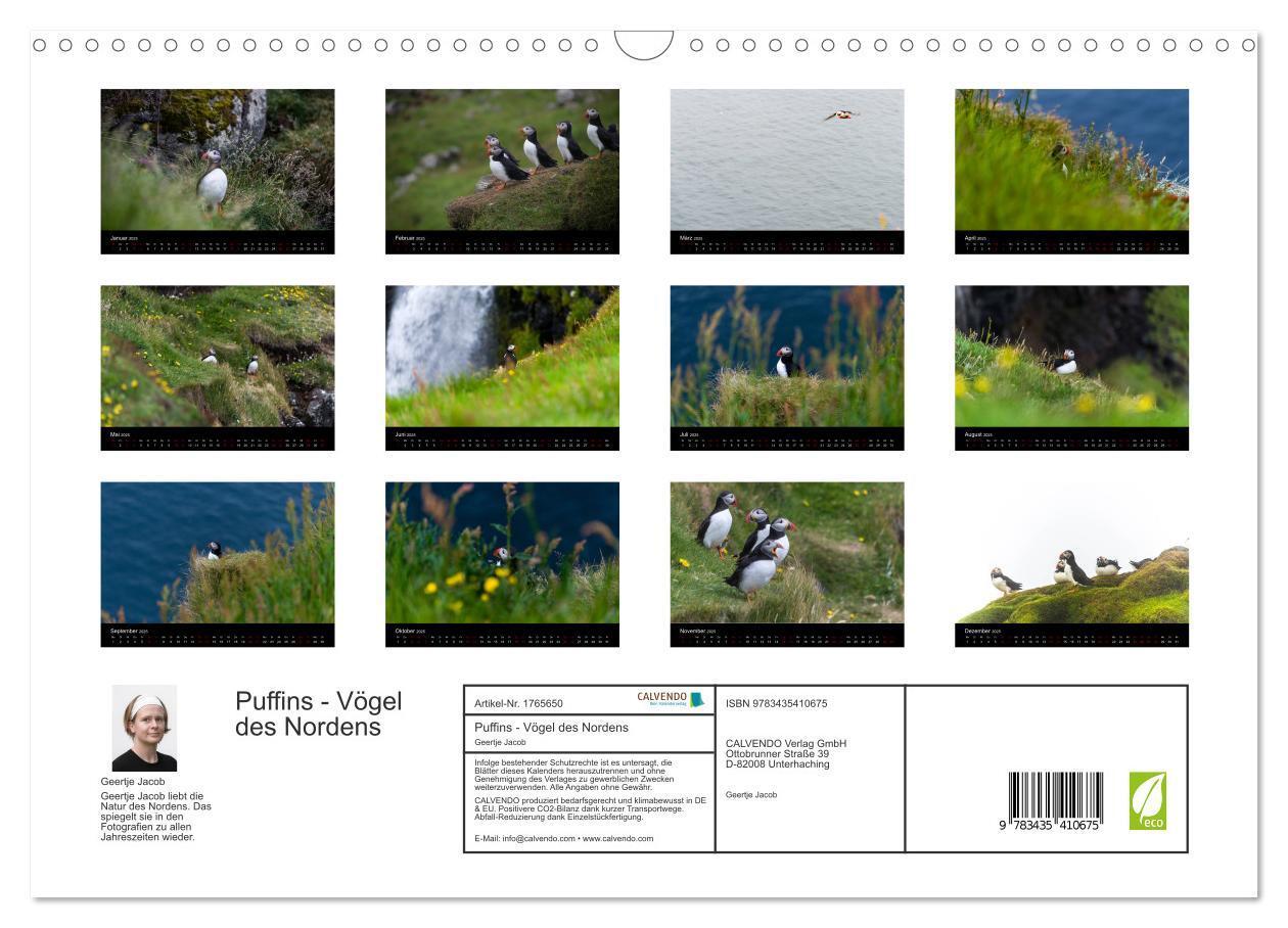 Bild: 9783435410675 | Puffins - Vögel des Nordens (Wandkalender 2025 DIN A3 quer),...