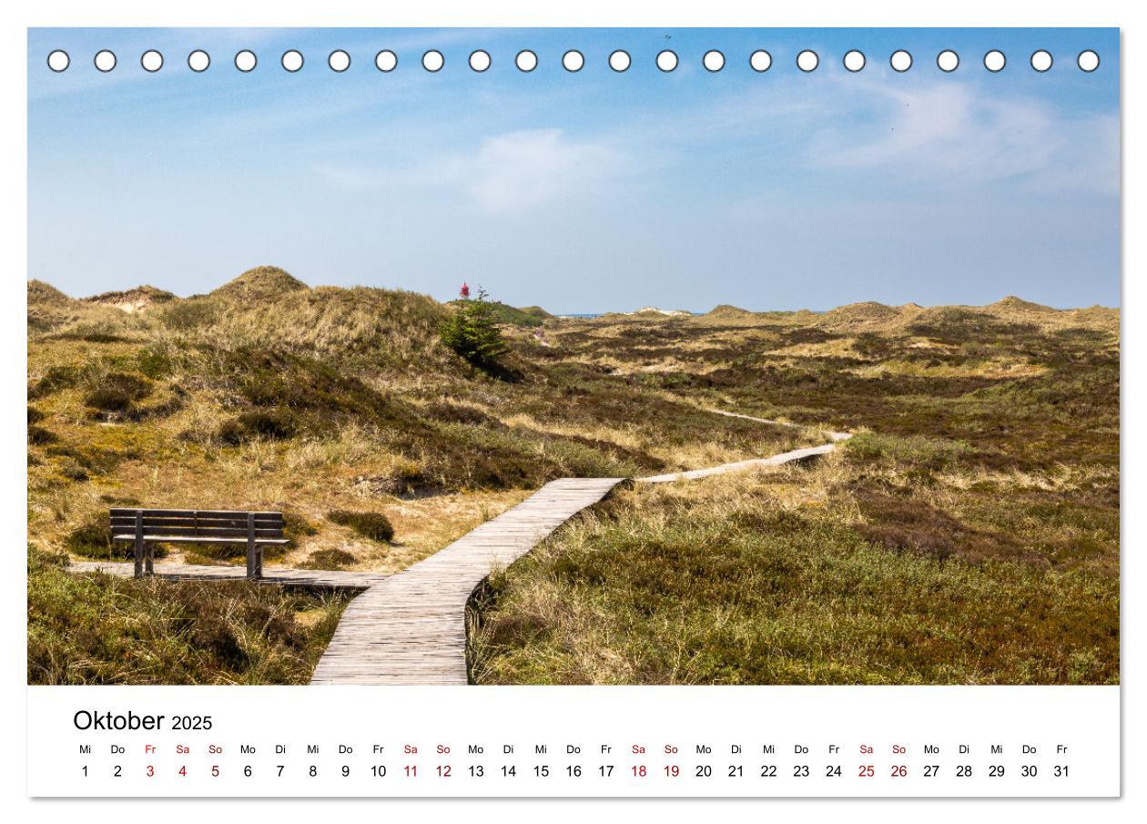 Bild: 9783383896651 | Amrum - Das Paradies in der Nordsee (Tischkalender 2025 DIN A5...