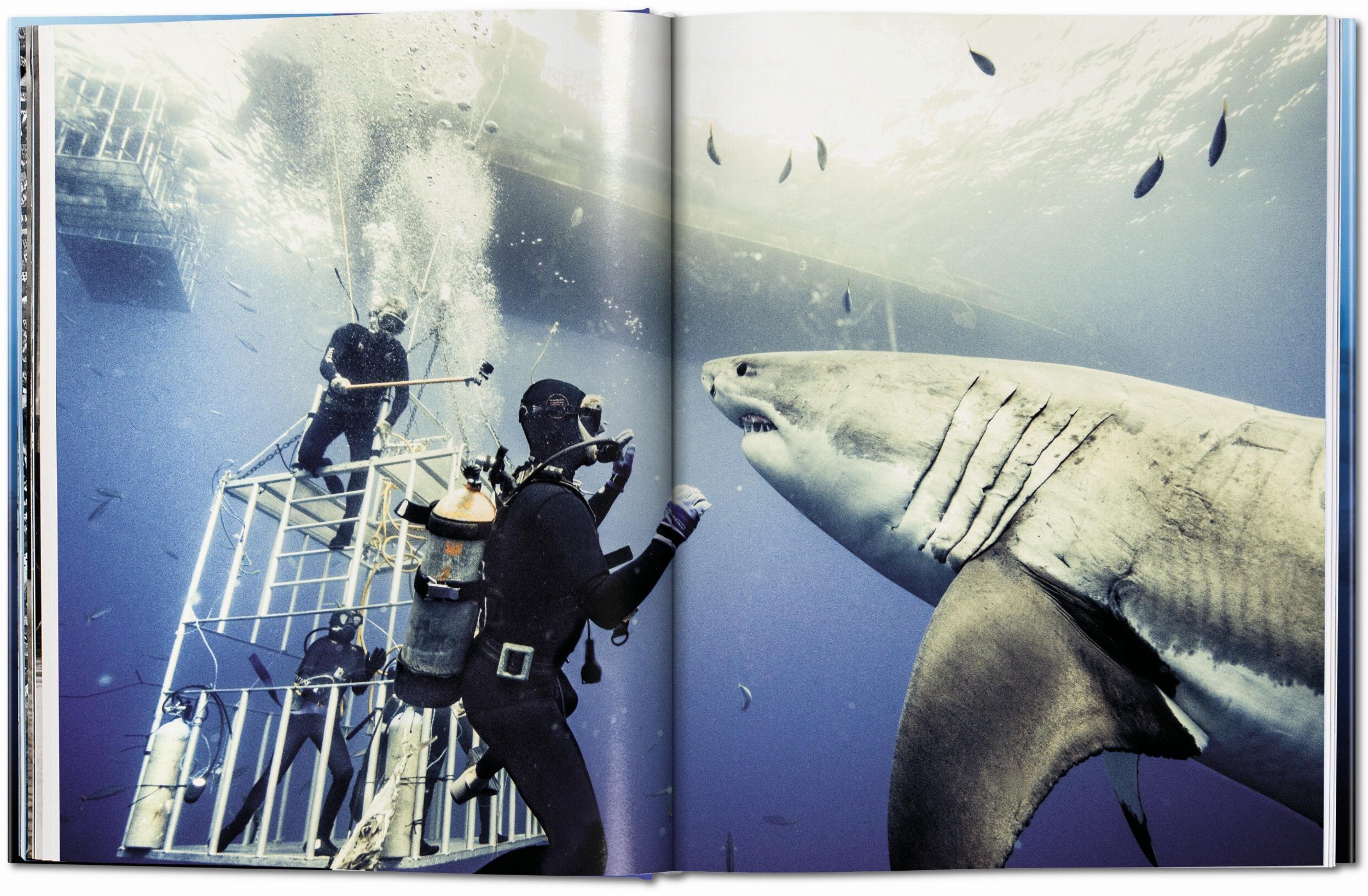 Bild: 9783836553599 | Michael Muller. Sharks | Philippe Cousteau (u. a.) | Buch | 334 S.