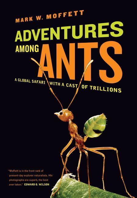 Cover: 9780520271289 | Adventures among Ants | A Global Safari with a Cast of Trillions