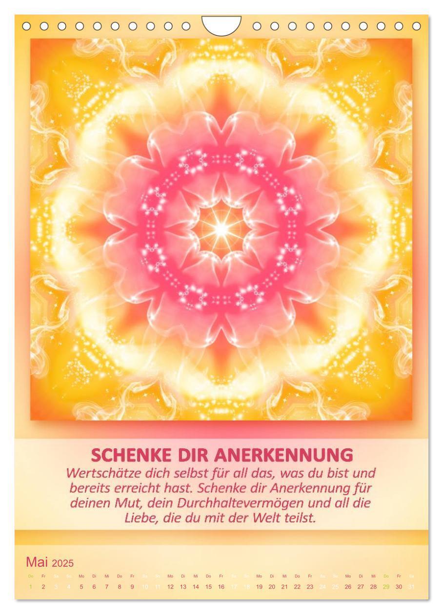 Bild: 9783457086469 | Light Energy Mandalas - Kalender - Vol. 1 (Wandkalender 2025 DIN A4...