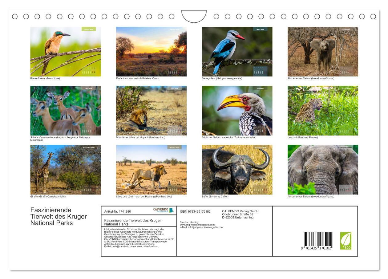 Bild: 9783435176182 | Faszinierende Tierwelt des Kruger National Parks (Wandkalender 2025...