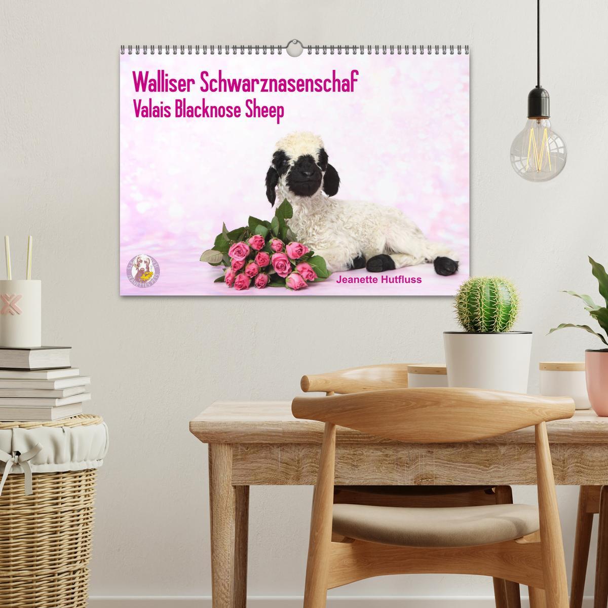 Bild: 9783435327034 | Walliser Schwarznasenschaf Valais Blacknose Sheep (Wandkalender...