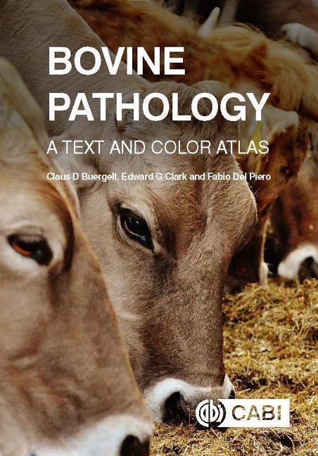 Cover: 9781780646718 | Bovine Pathology: A Text and Color Atlas | Claus D. Buergelt (u. a.)