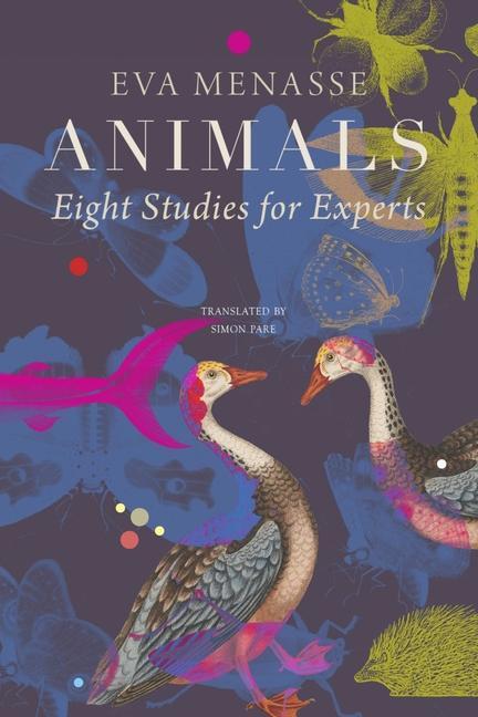 Cover: 9781803092621 | Animals - Eight Studies for Experts | Eva Menasse (u. a.) | Buch