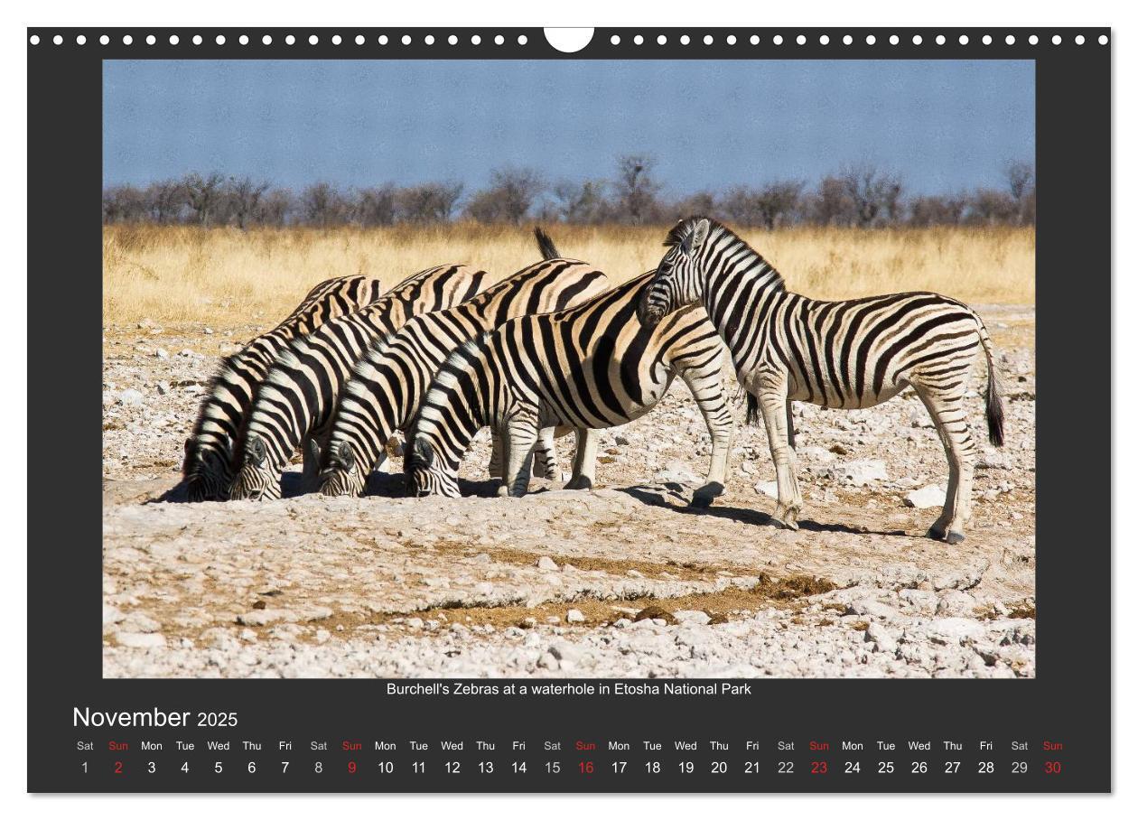 Bild: 9781325964277 | Namibia's Nature (Wall Calendar 2025 DIN A3 landscape), CALVENDO 12...