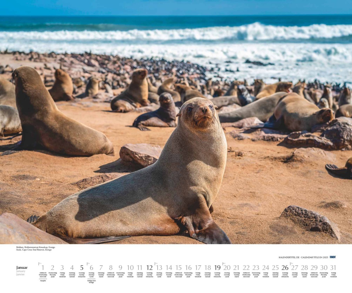 Bild: 4250809653761 | DUMONT - Namibia 2025 Wandkalender, 60x50cm, Fotokunst-Kalender mit...