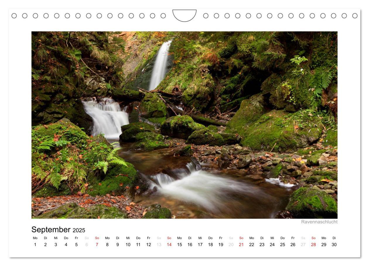 Bild: 9783435818648 | Schwarzwald 2025 (Wandkalender 2025 DIN A4 quer), CALVENDO...