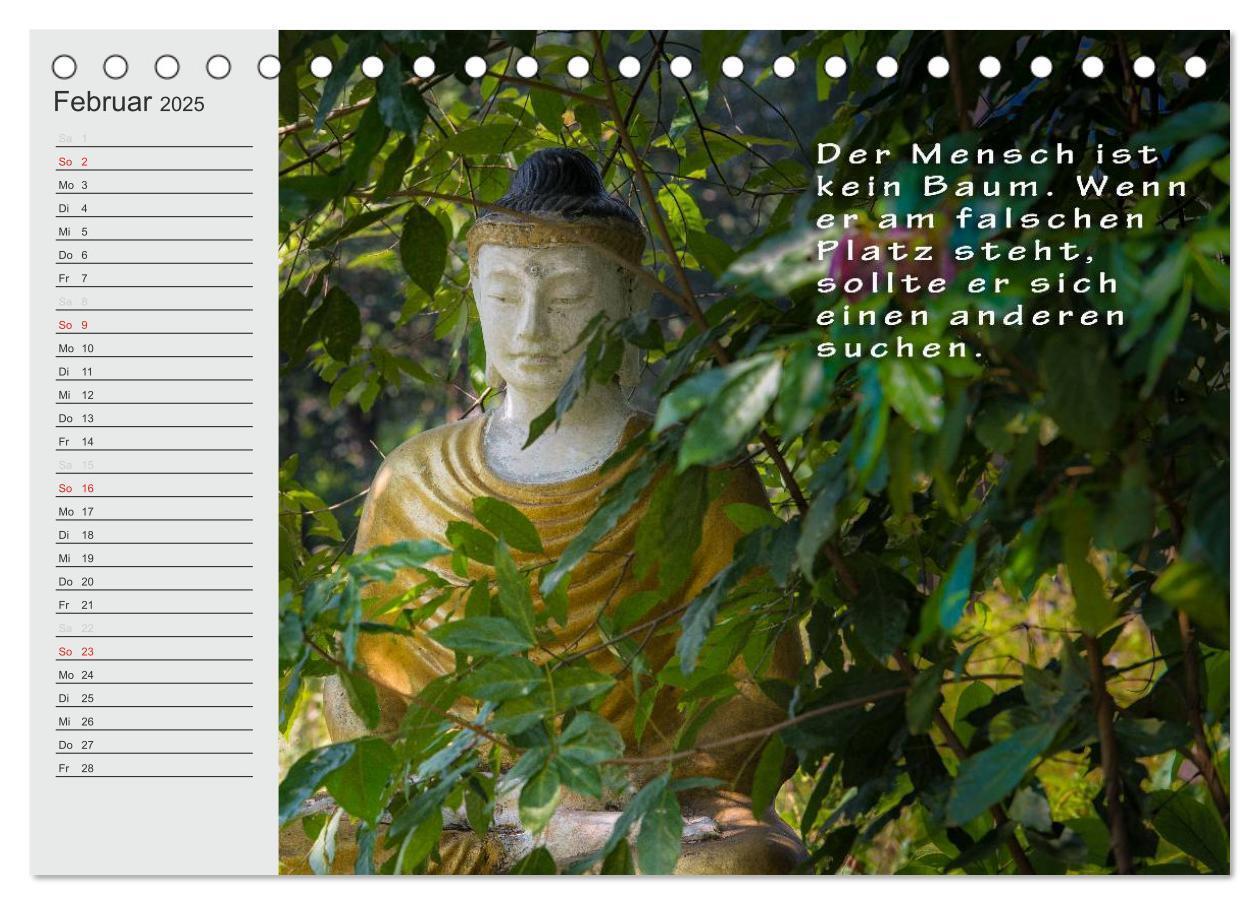 Bild: 9783435550104 | BUDDHA Buddhistische Weisheiten (Tischkalender 2025 DIN A5 quer),...