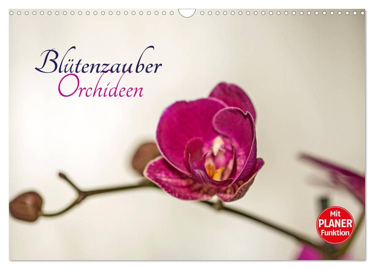 Cover: 9783383338755 | Blütenzauber Orchideen (Wandkalender 2024 DIN A3 quer), CALVENDO...