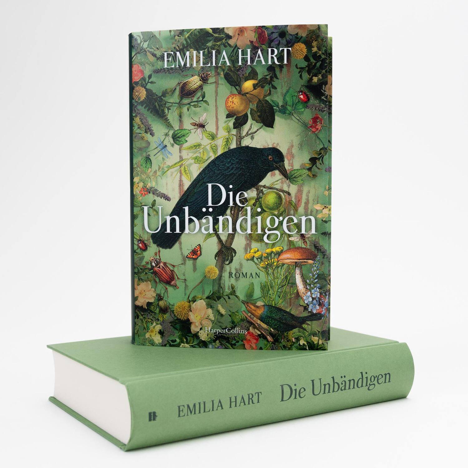 Bild: 9783365000342 | Die Unbändigen | Emilia Hart | Buch | 416 S. | Deutsch | 2023