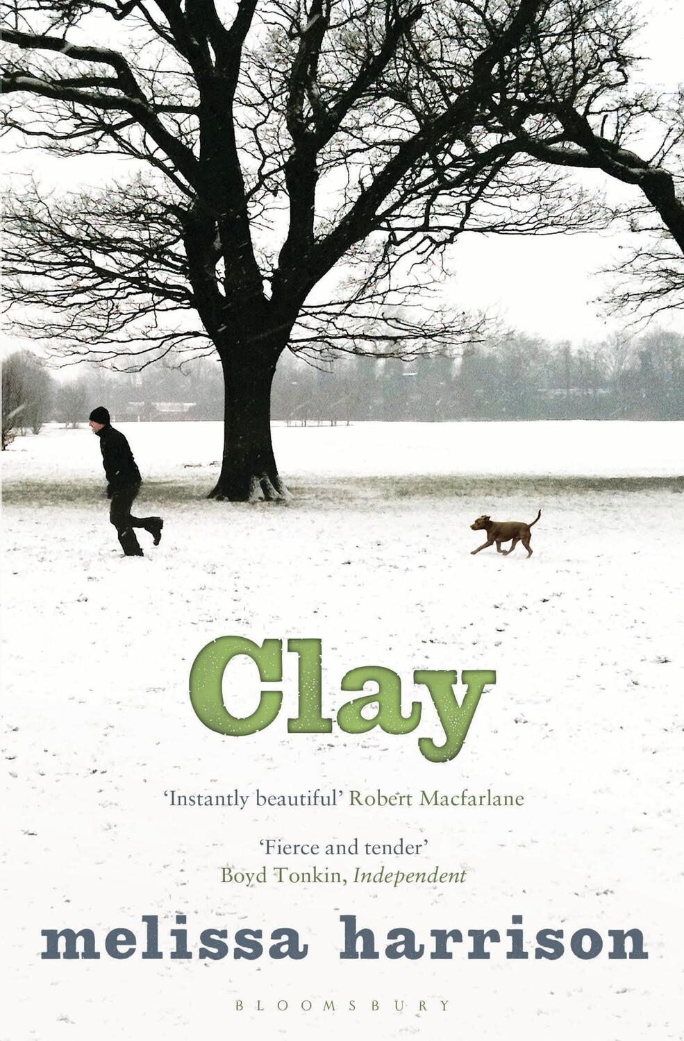 Cover: 9781408842553 | Clay | Melissa Harrison | Taschenbuch | Kartoniert / Broschiert | 2014