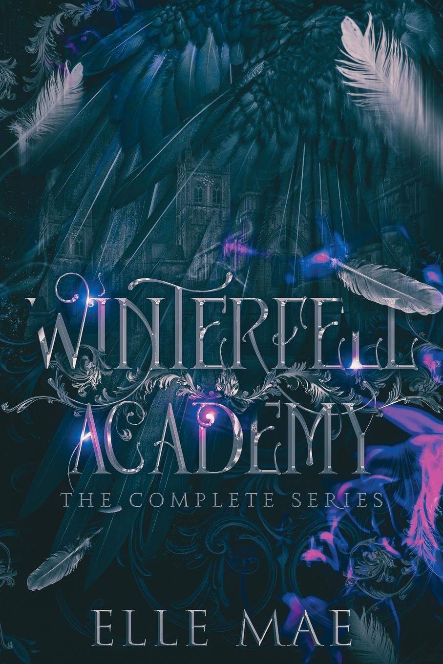 Cover: 9781959187073 | Winterfell Academy | A dark bully why choose | Elle Mae | Taschenbuch
