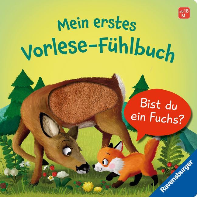 Cover: 9783473416639 | Mein erstes Vorlese-Fühlbuch: Bist du ein Fuchs? | Kathrin Lena Orso