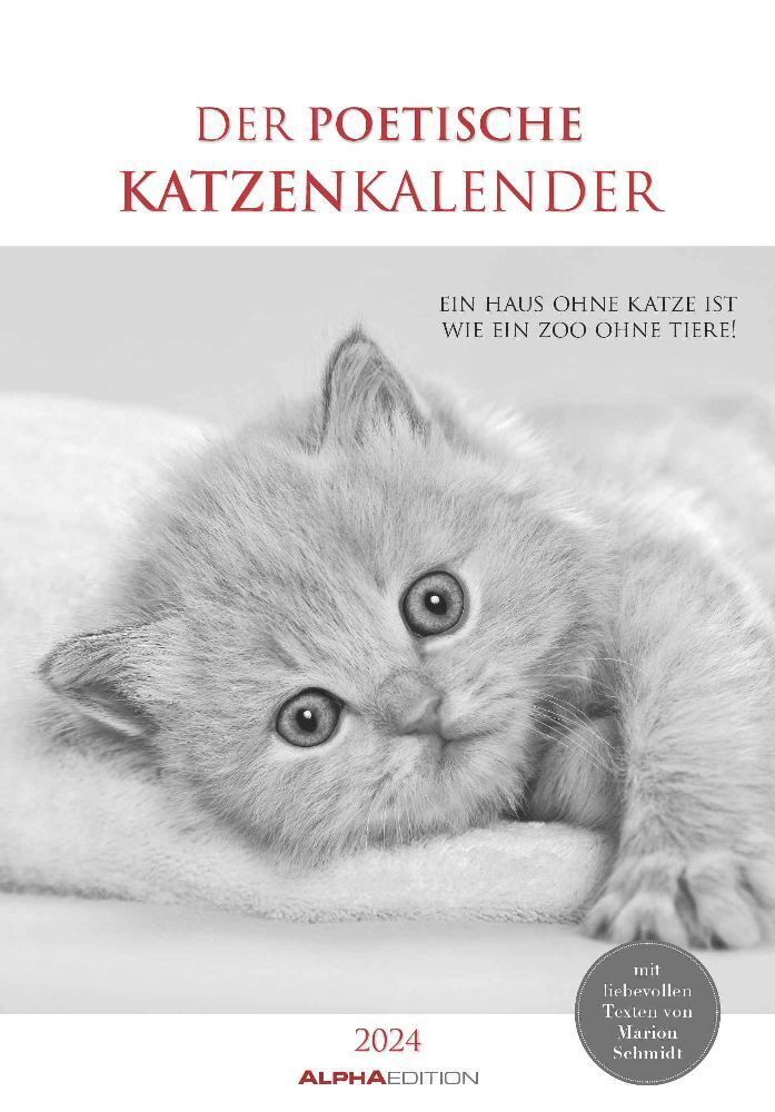Cover: 4251732334871 | Der poetische Katzenkalender 2024 - Bild-Kalender 23,7x34 cm - mit...