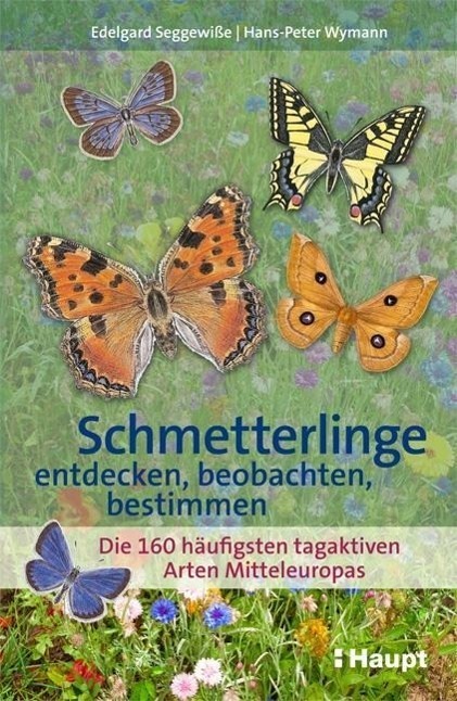 Cover: 9783258078915 | Schmetterlinge entdecken, beobachten, bestimmen | Edelgard Seggewiße