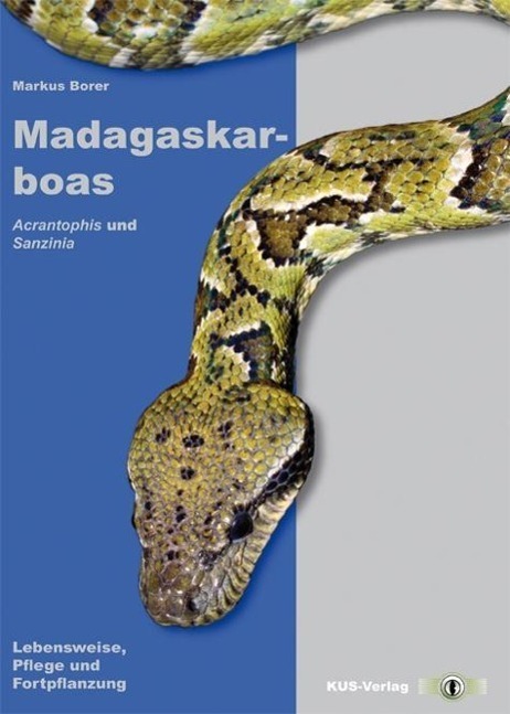 Cover: 9783940376060 | Madagaskarboas | Markus Borer | Taschenbuch | Deutsch | 2013
