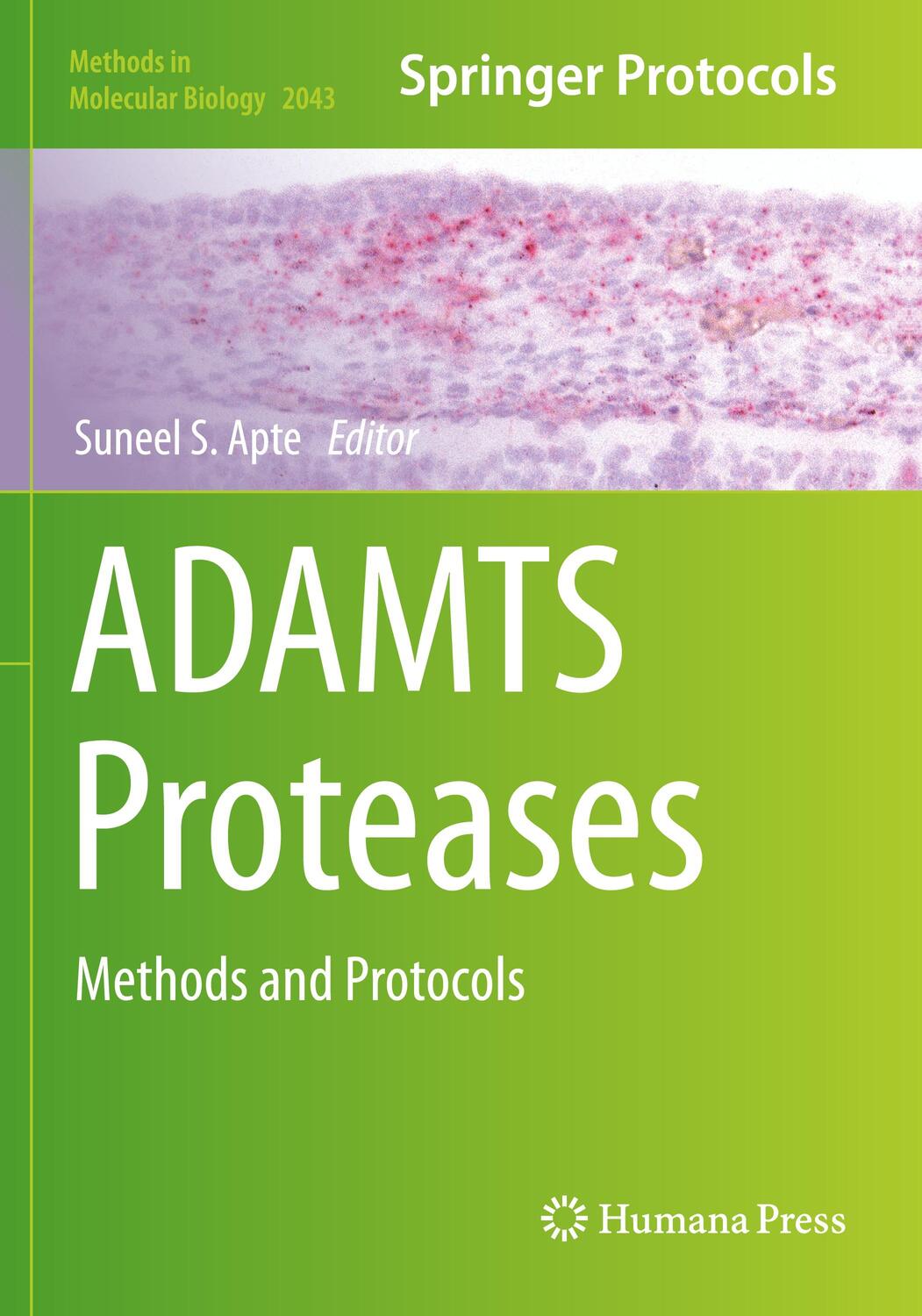 Cover: 9781493997008 | ADAMTS Proteases | Methods and Protocols | Suneel S. Apte | Buch | x