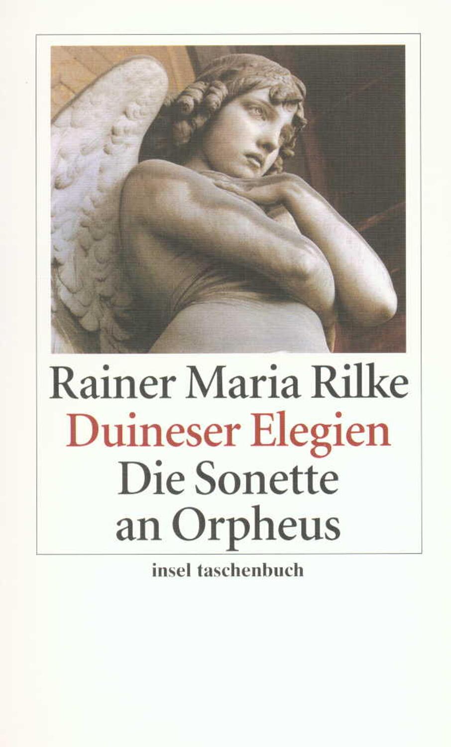 Cover: 9783458317807 | Duineser Elegien / Die Sonette an Orpheus | Rainer Maria Rilke | Buch