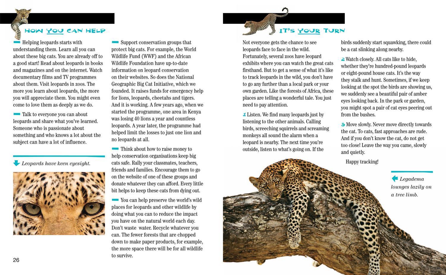 Bild: 9780008358167 | Face to Face with Leopards | Level 6 | Beverly Joubert (u. a.) | Buch