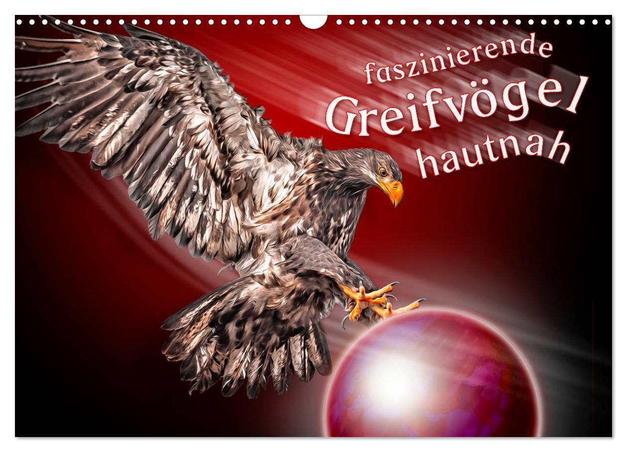 Cover: 9783675765009 | Faszinierende Greifvögel hautnah (Wandkalender 2024 DIN A3 quer),...