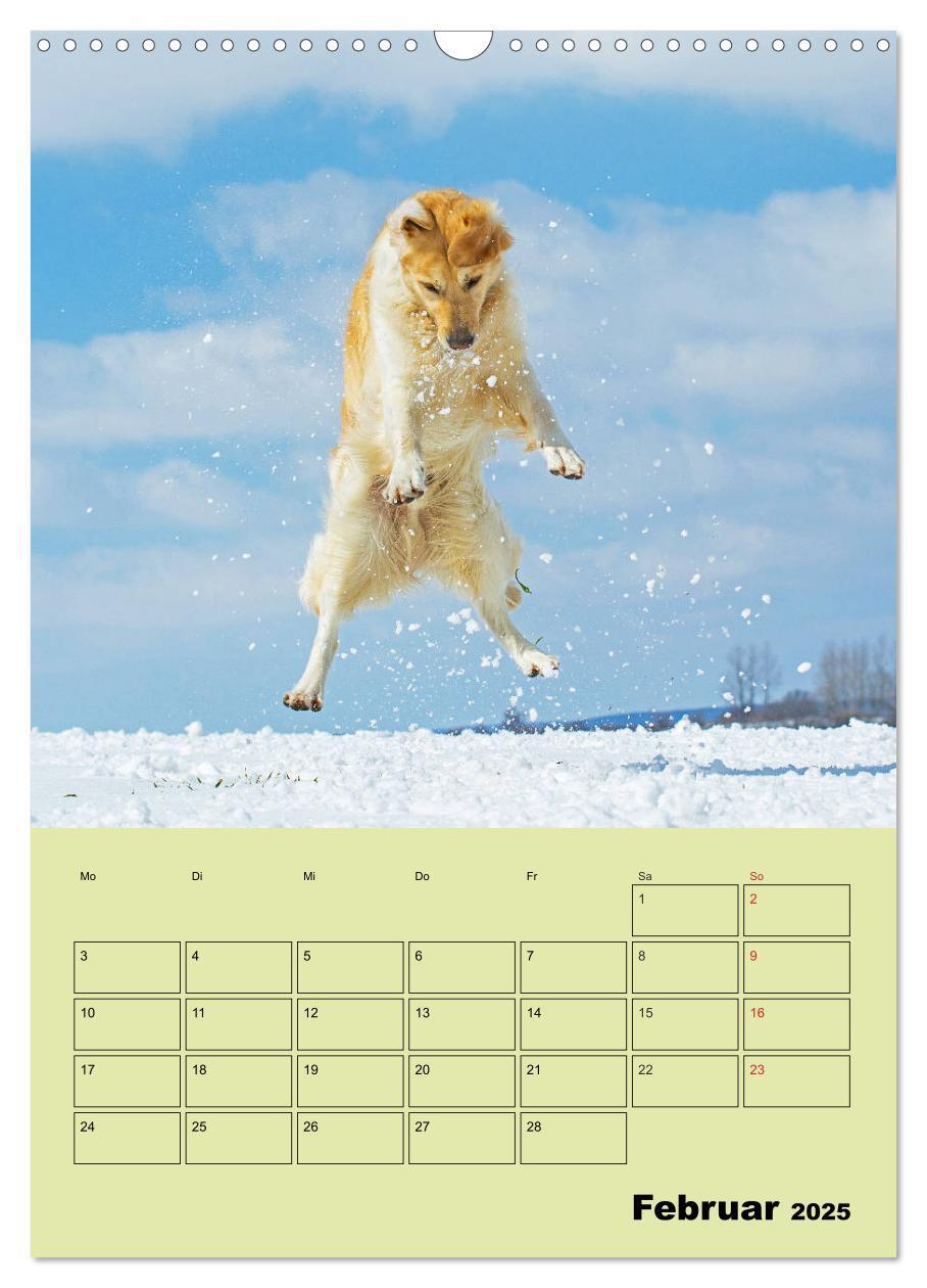 Bild: 9783435960002 | Jahresplaner Golden Retriever (Wandkalender 2025 DIN A3 hoch),...