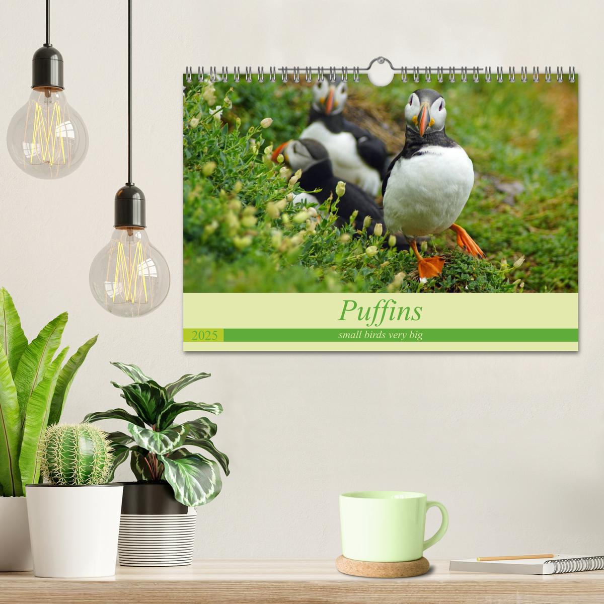 Bild: 9781325944064 | Puffins - small birds very big (Wall Calendar 2025 DIN A4...