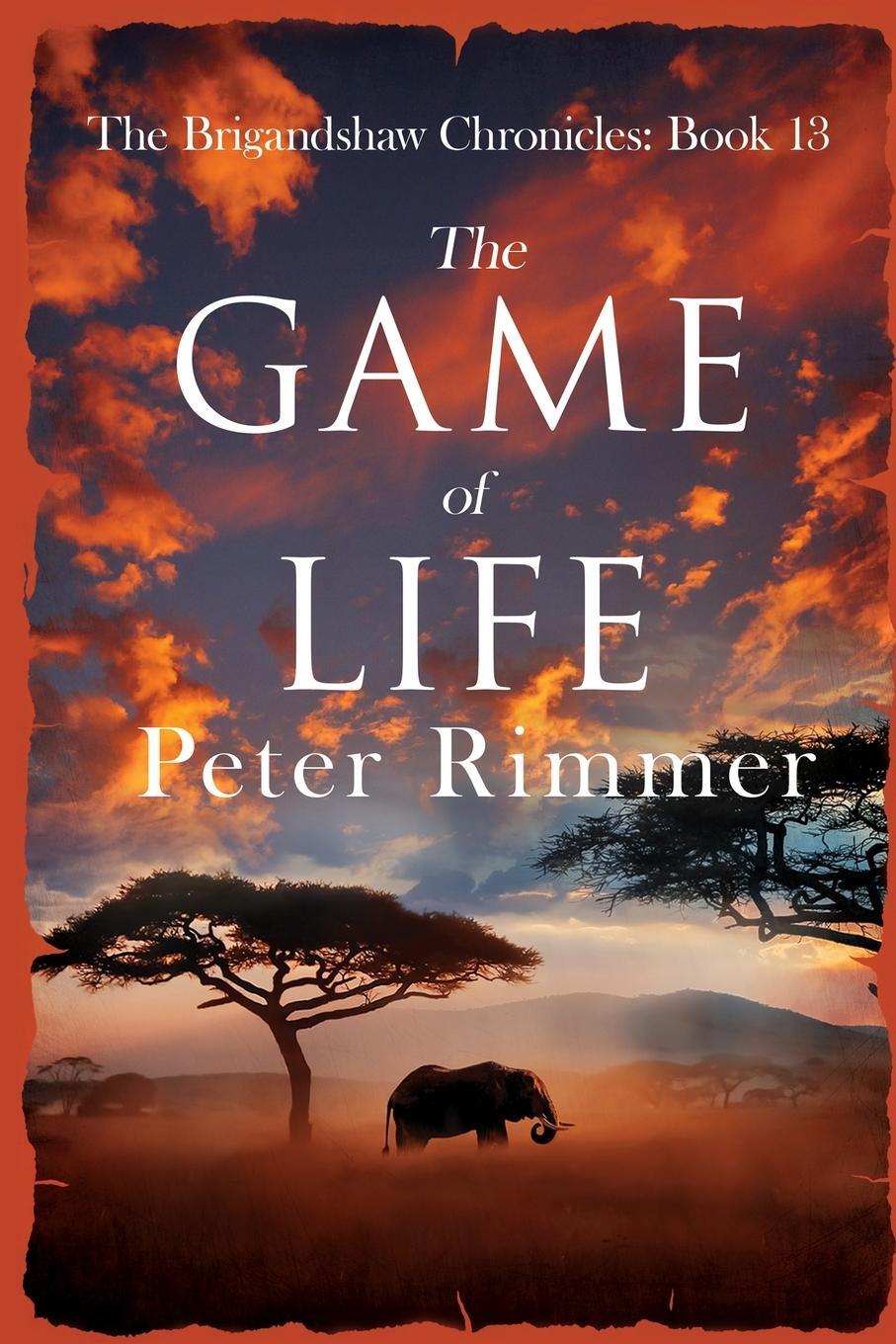 Cover: 9781838286774 | The Game of Life | Peter Rimmer | Taschenbuch | Paperback | Englisch