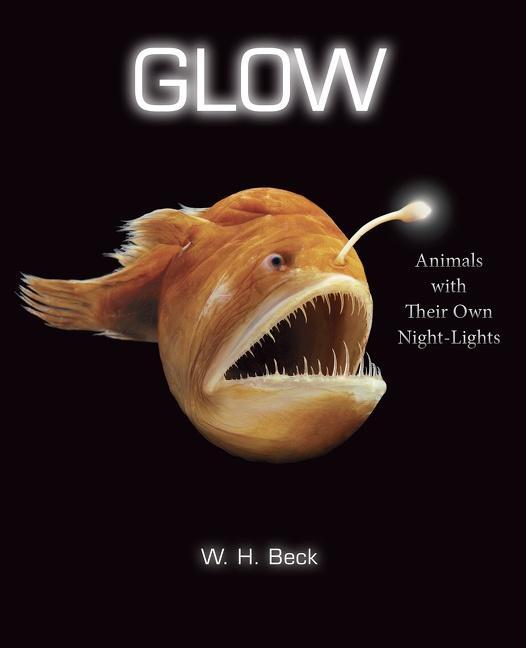 Cover: 9780544416666 | Glow | Animals with Their Own Night-Lights | W H Beck | Buch | 2015