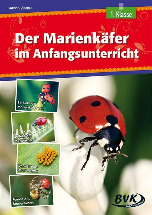 Cover: 9783867406062 | Der Marienkäfer im Anfangsunterricht | Kathrin Zindler | Broschüre