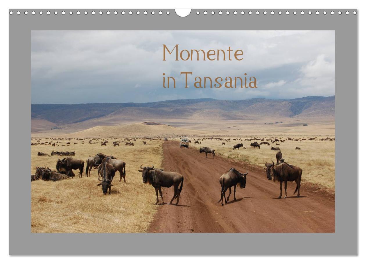 Cover: 9783383634055 | Momente in Tansania (Wandkalender 2024 DIN A3 quer), CALVENDO...