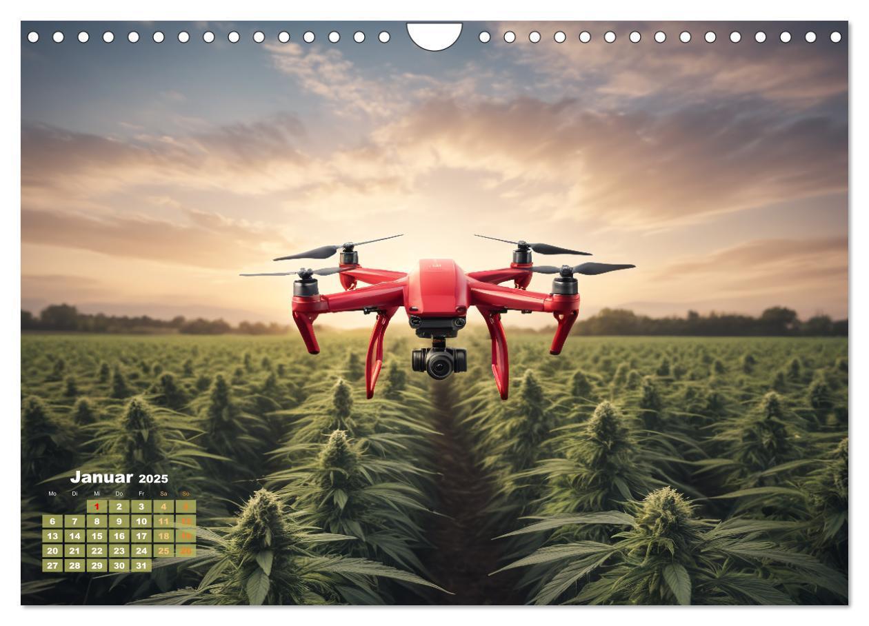 Bild: 9783383807060 | Wunderschöne Cannabisfelder (Wandkalender 2025 DIN A4 quer),...