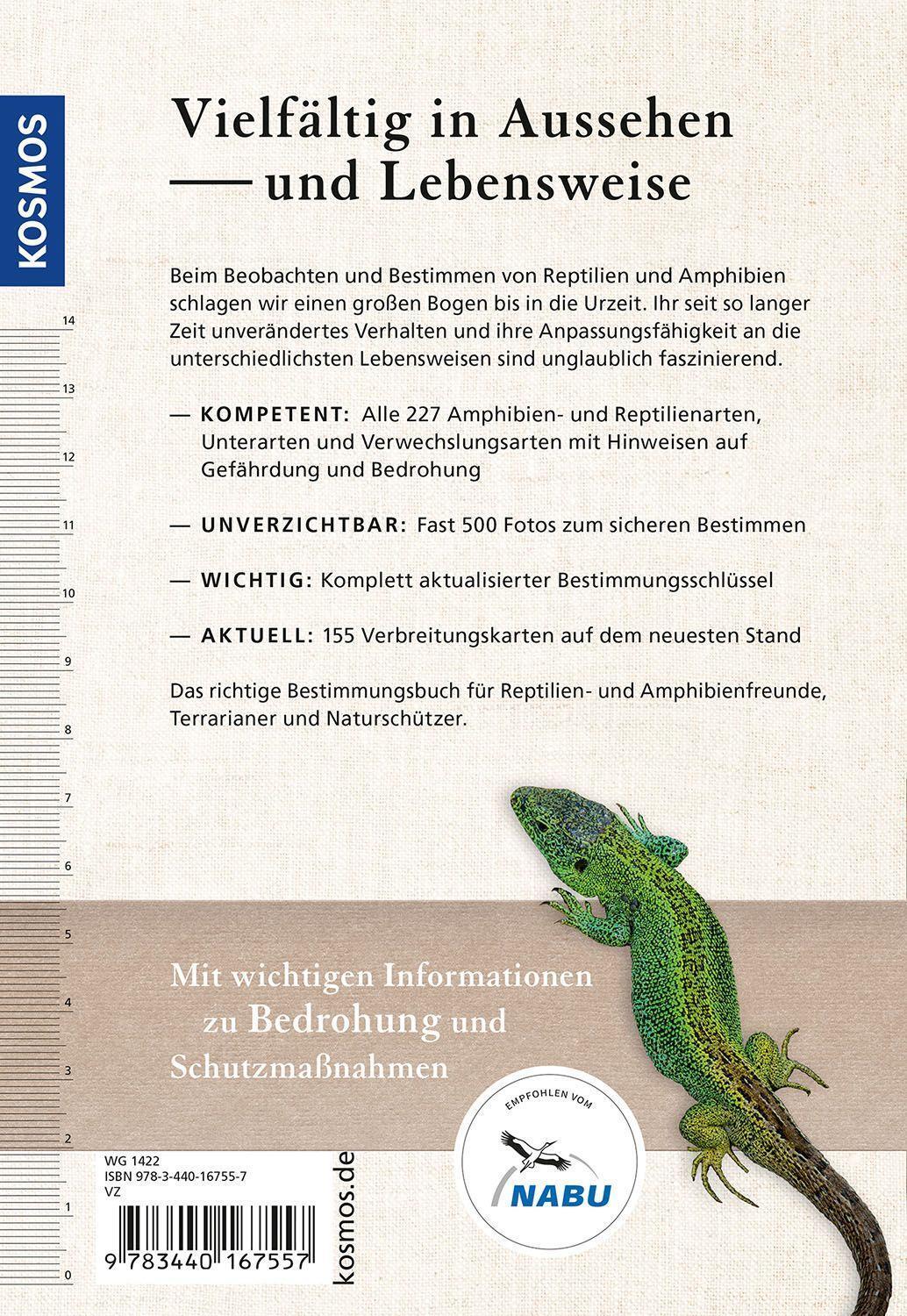 Bild: 9783440167557 | Reptilien und Amphibien Europas | Axel Kwet | Taschenbuch | Deutsch