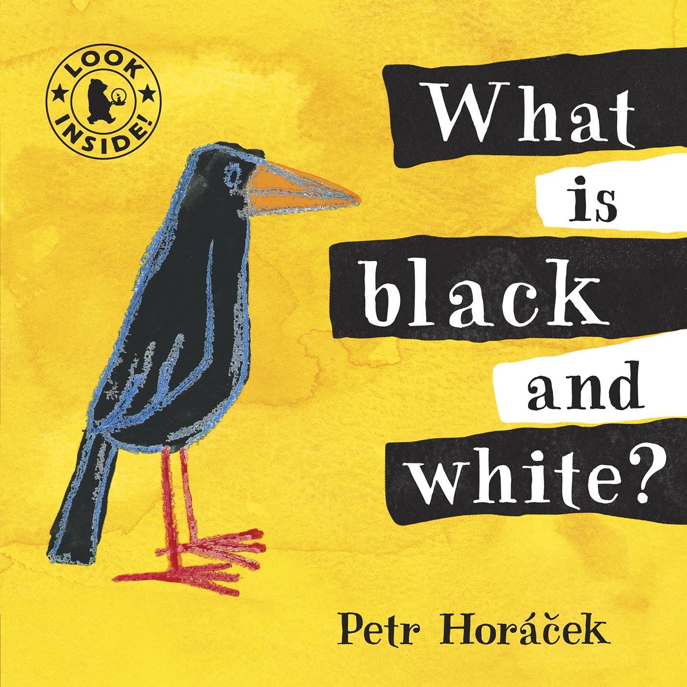 Cover: 9781406325126 | What Is Black and White? | Petr Horacek | Buch | Englisch | 2009
