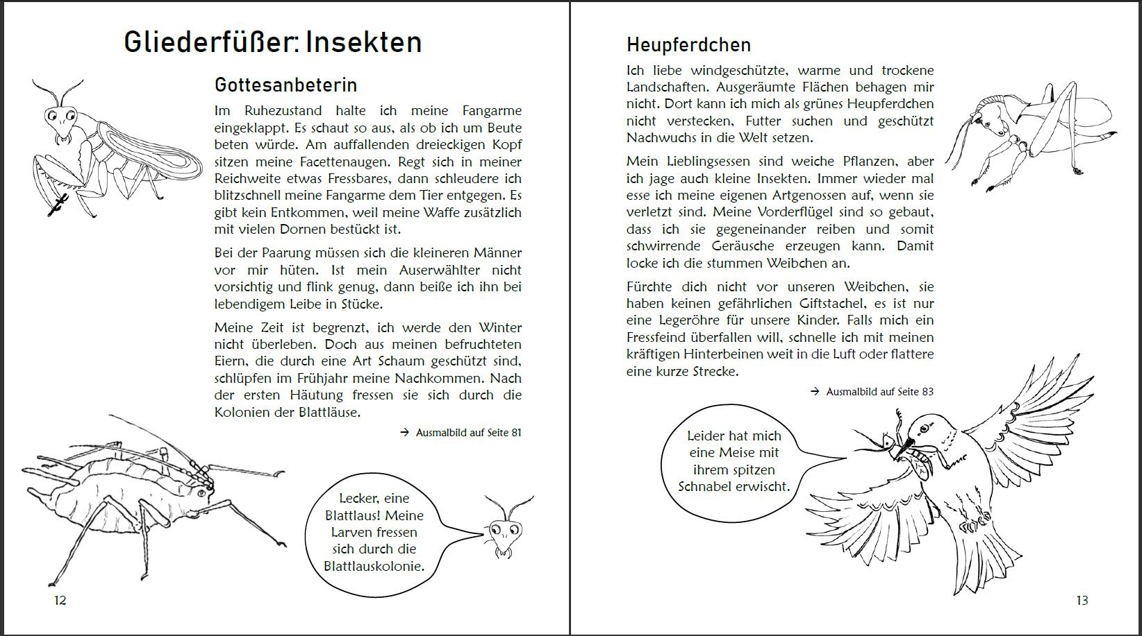 Bild: 9783990820322 | Ausmalspaß + Wissen: Fantatiere - Malbuch ab 6 Jahre. Artenvielfalt...