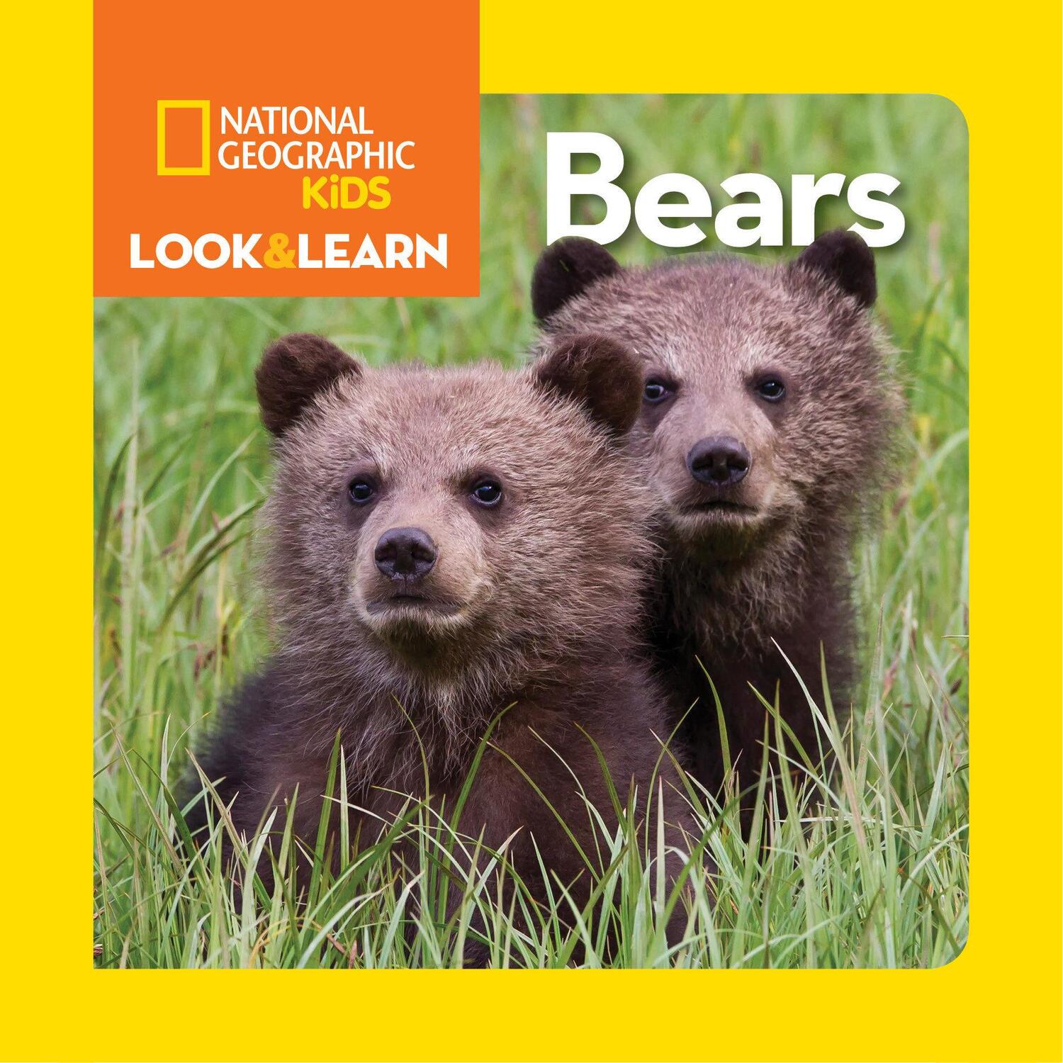 Cover: 9781426318757 | National Geographic Kids Look and Learn: Bears | Kids | Buch | 2015